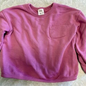 Zara Kids Purple Sweatshirt